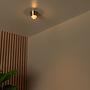 Rigon Ceiling Light Aluminium Gold 2