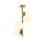 4-Flame Faze NT-138 Ceiling light Metal Glass Gold 0