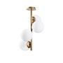 4-Flame Faze NT-138 Ceiling light Metal Glass Gold 5