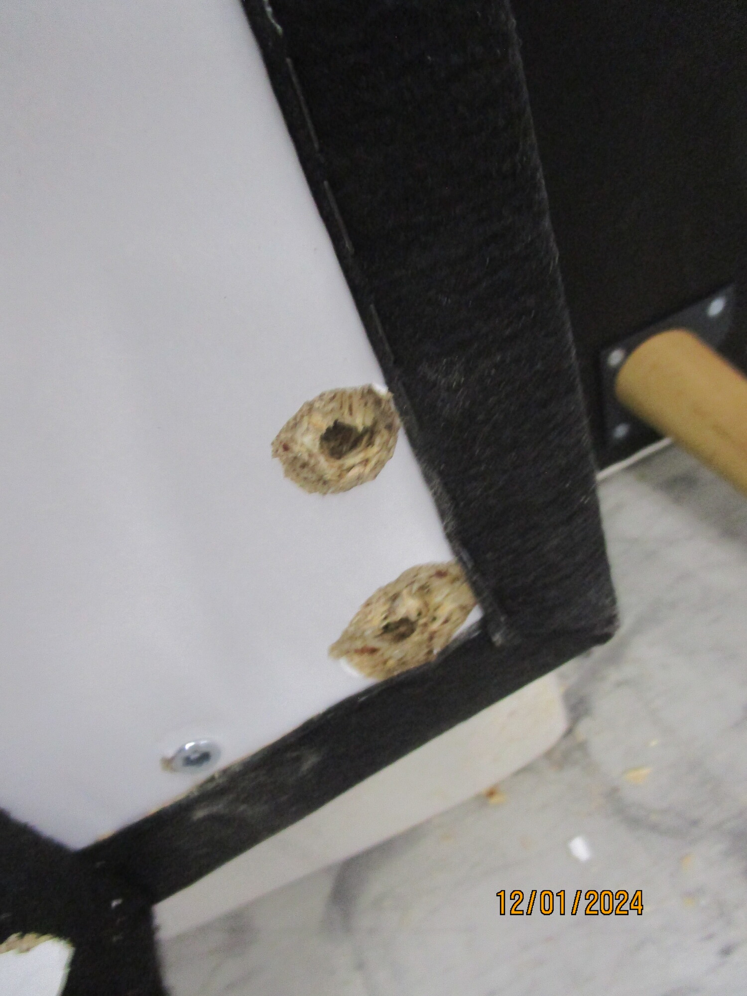 Tyme Schlafsofa Récamiere Links Vegane Wolle Cremebeige 9