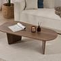 Oval Coffee Table Walnut 4