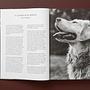 Bruce Weber. The Golden Retriever Photographic Society 7
