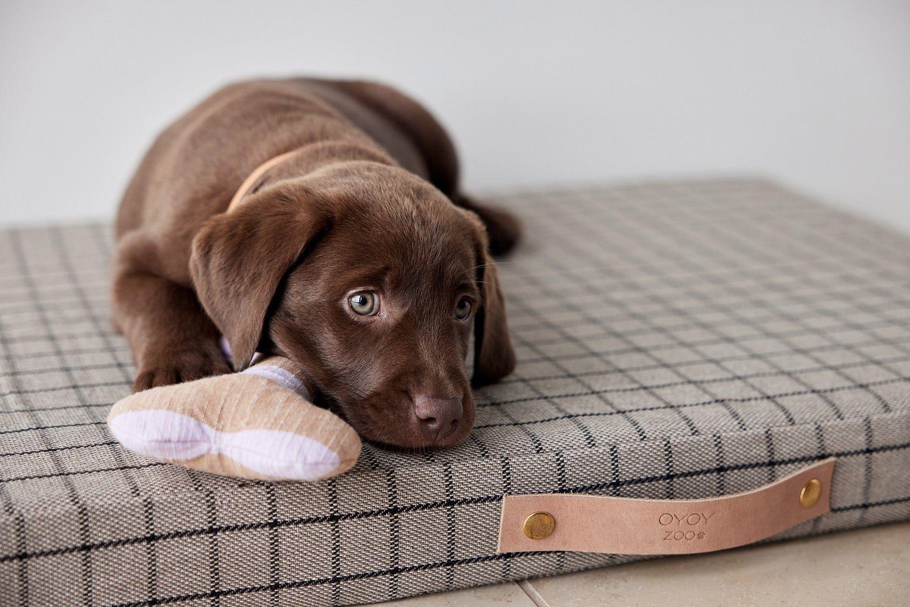 Ashi Hundespielzeug Polyester Recycelt Mehrfarbig 2