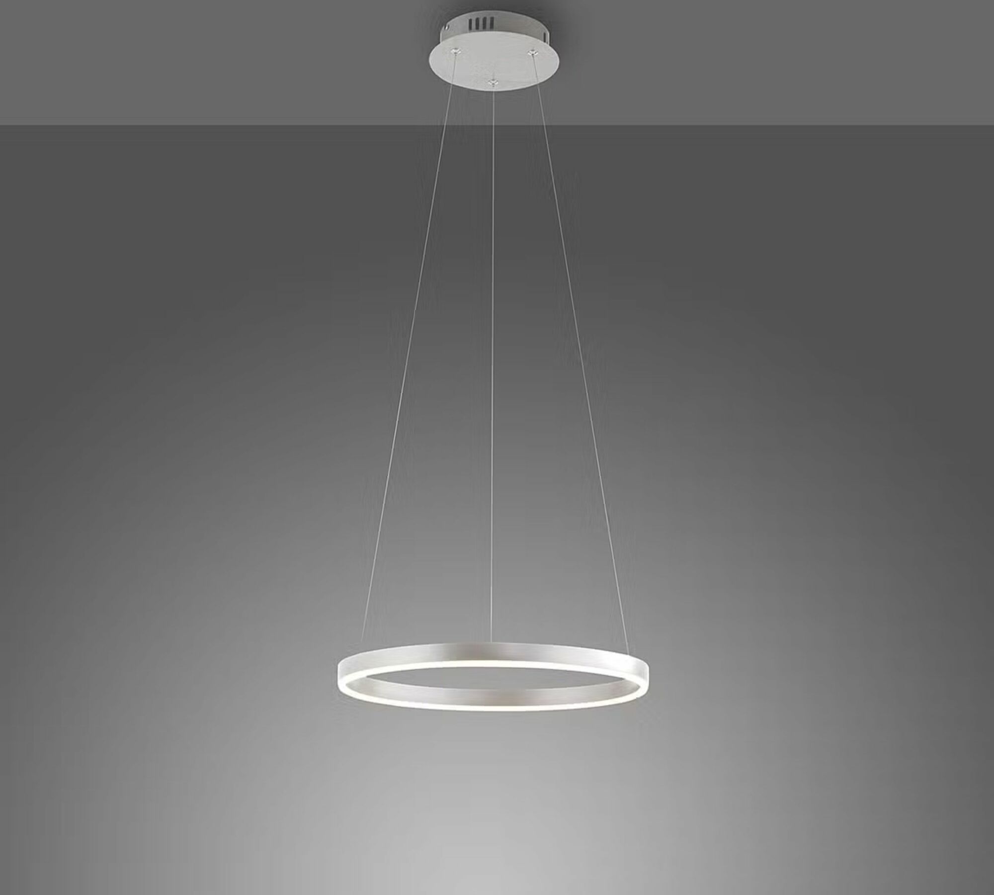 Pendant light 1-bulb Aluminum Silver 2