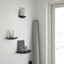 Gridy Fungi Shelf Mittel Schwarz 1