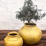 Handmade pot Ceramic Yellow 2