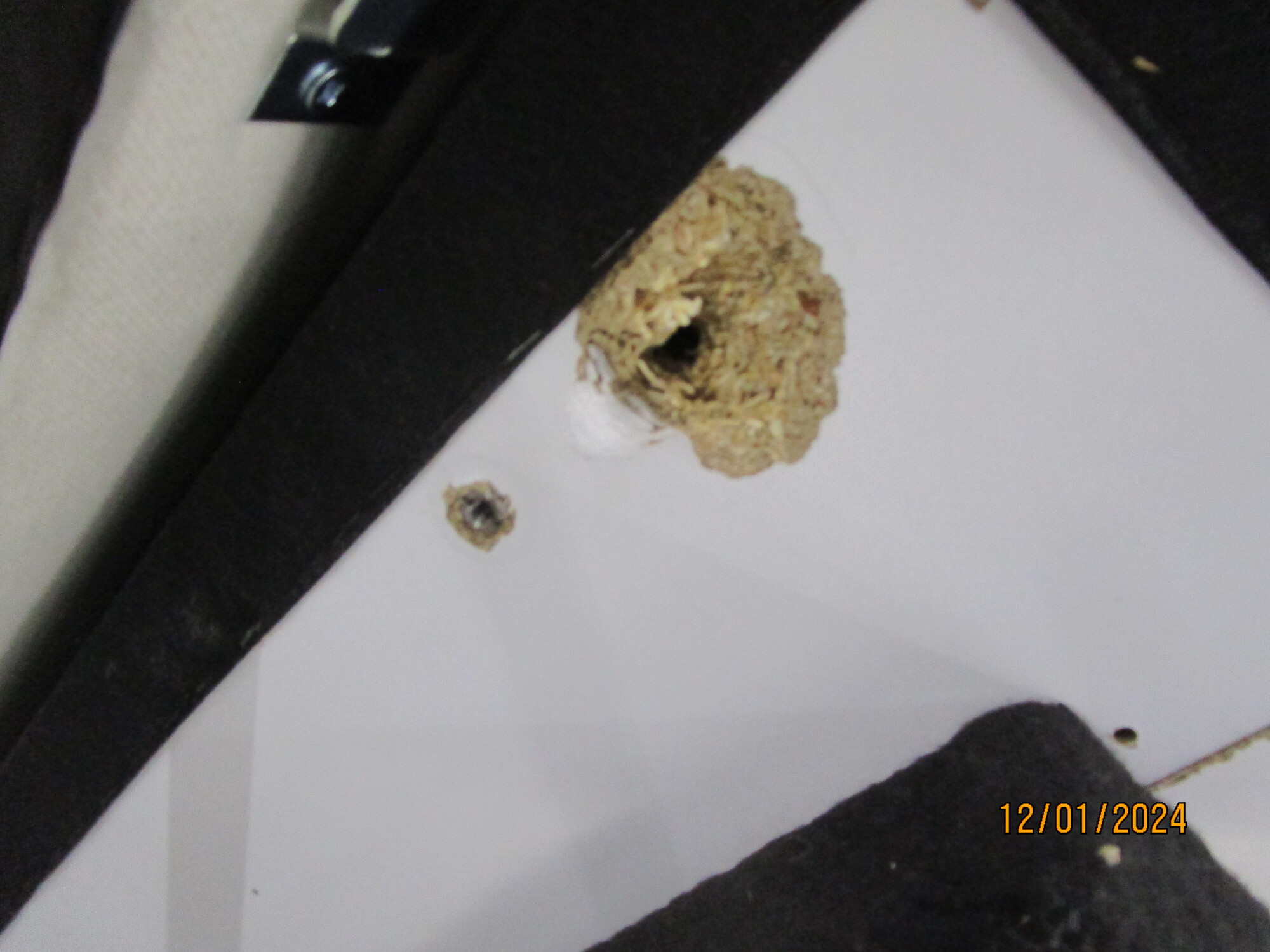 Tyme Schlafsofa Récamiere Links Vegane Wolle Cremebeige 7