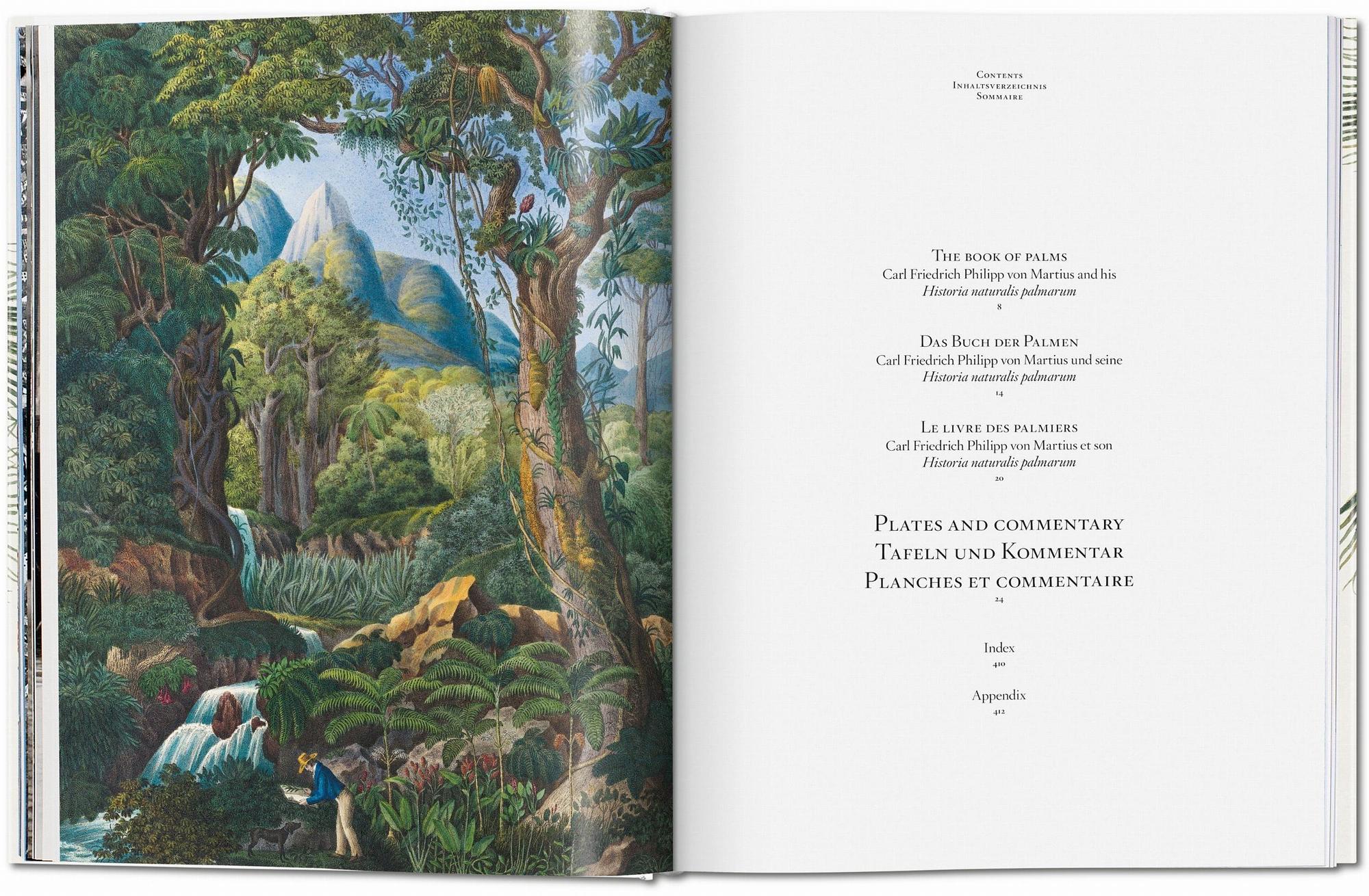 Martius. The Book of Palms 2