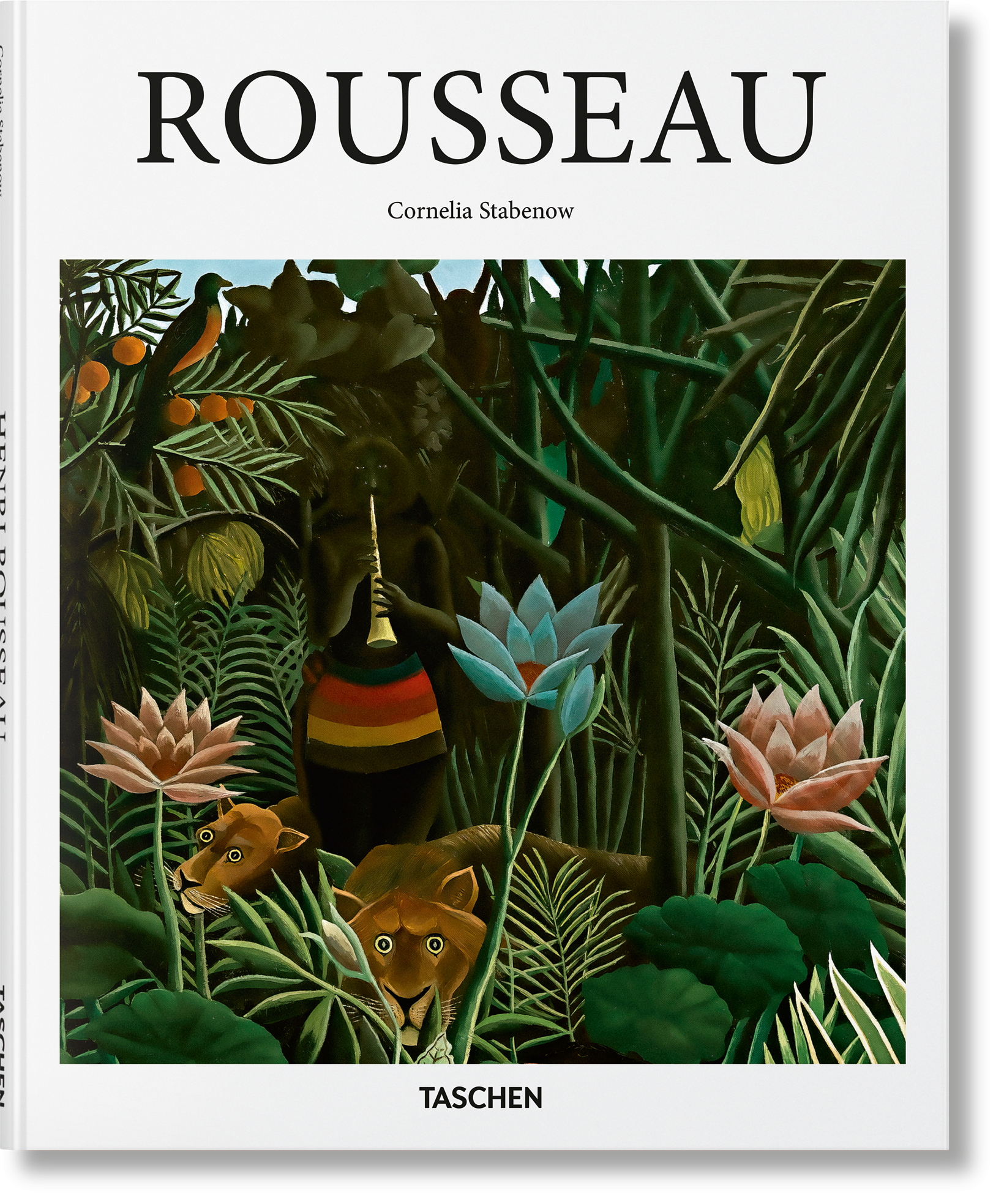 Rousseau Buch 0
