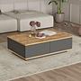 Sera Coffee Table Gray 0
