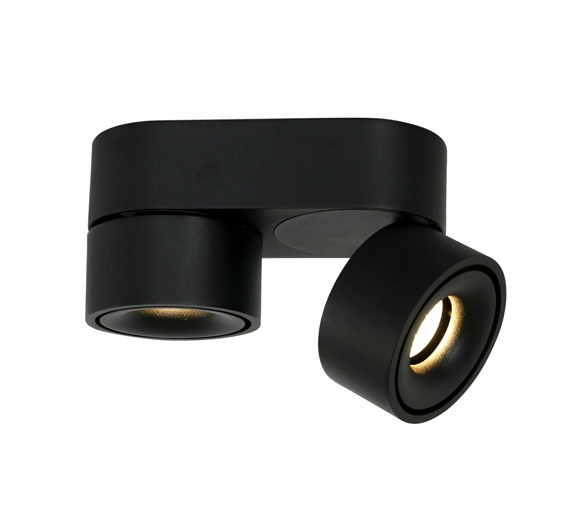 LED Ceiling Light 2-light Iron Black 1