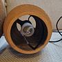 Scraplight Bell and Oliv Pendant Lights 9