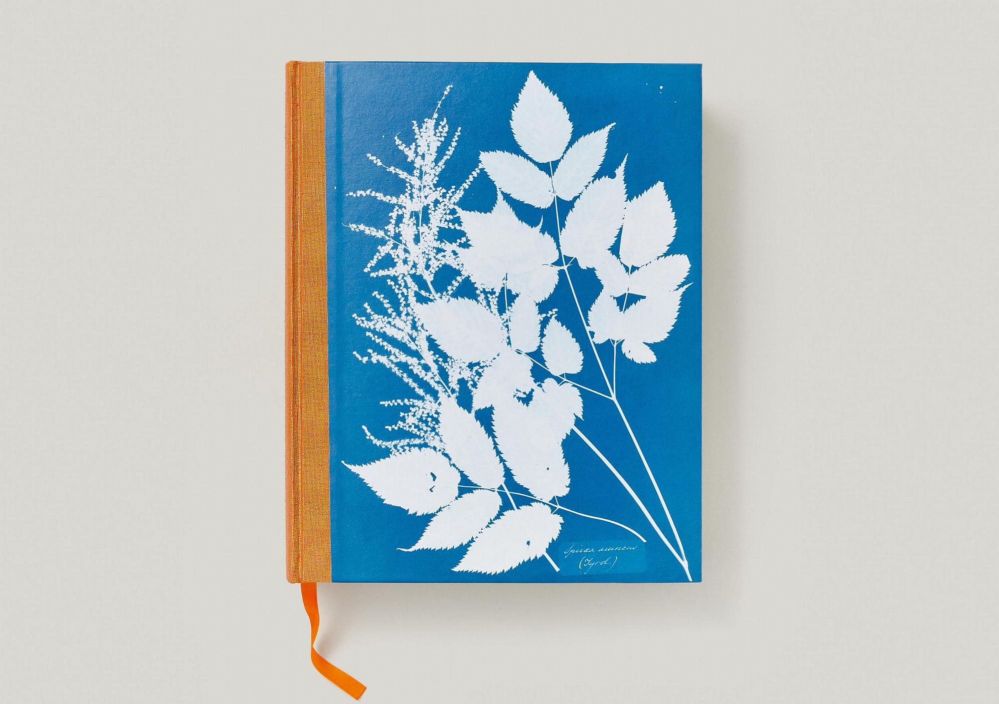 Anna Atkins. Cyanotypes 5