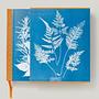 Anna Atkins. Cyanotypes 3