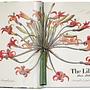 Redouté. The Book of Flowers. 45th Ed. 1