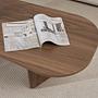 Oval Coffee Table Walnut 5