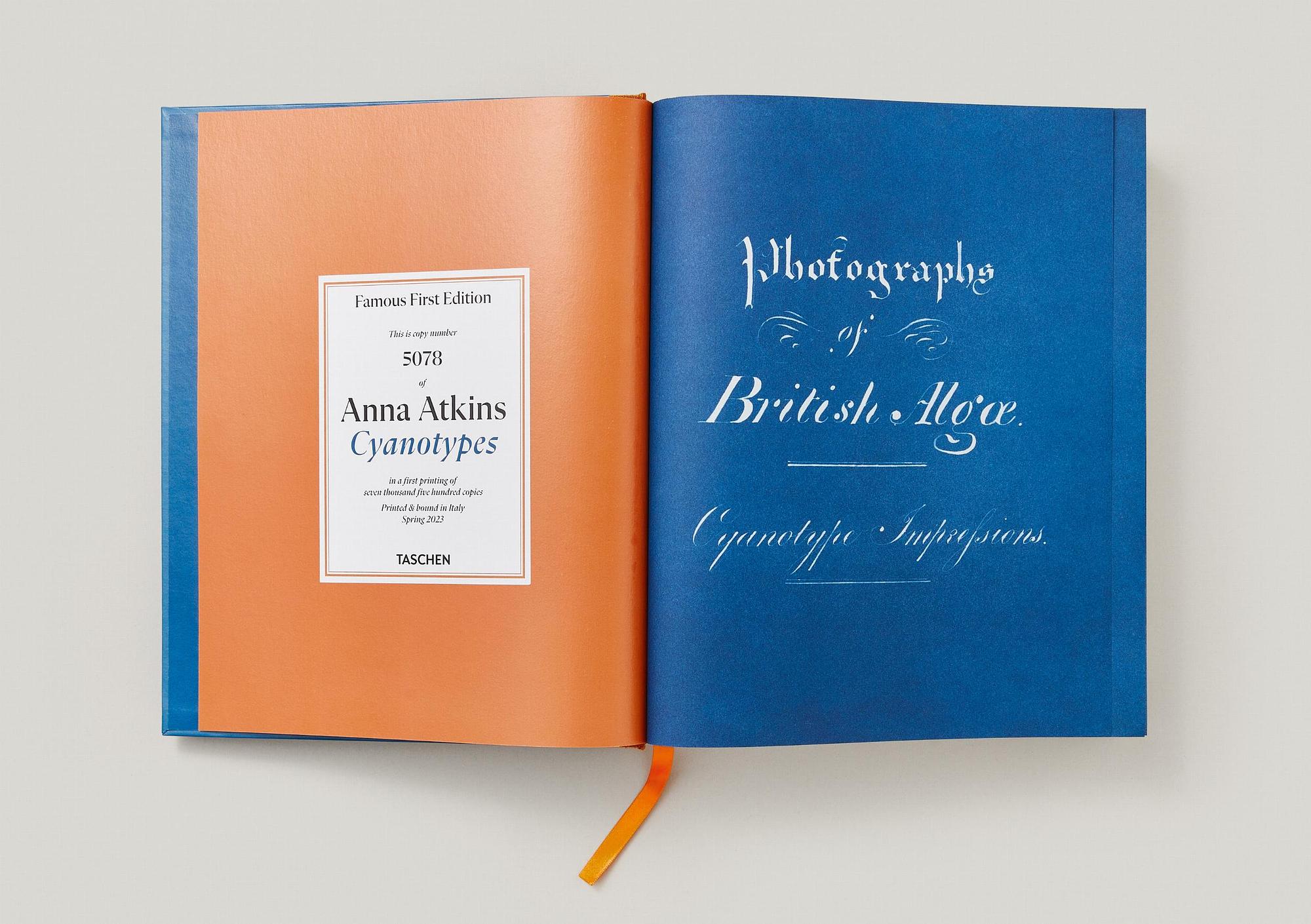 Anna Atkins. Cyanotypes (FFE) 8