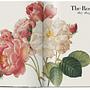 Redouté. The Book of Flowers. 45th Ed. 3