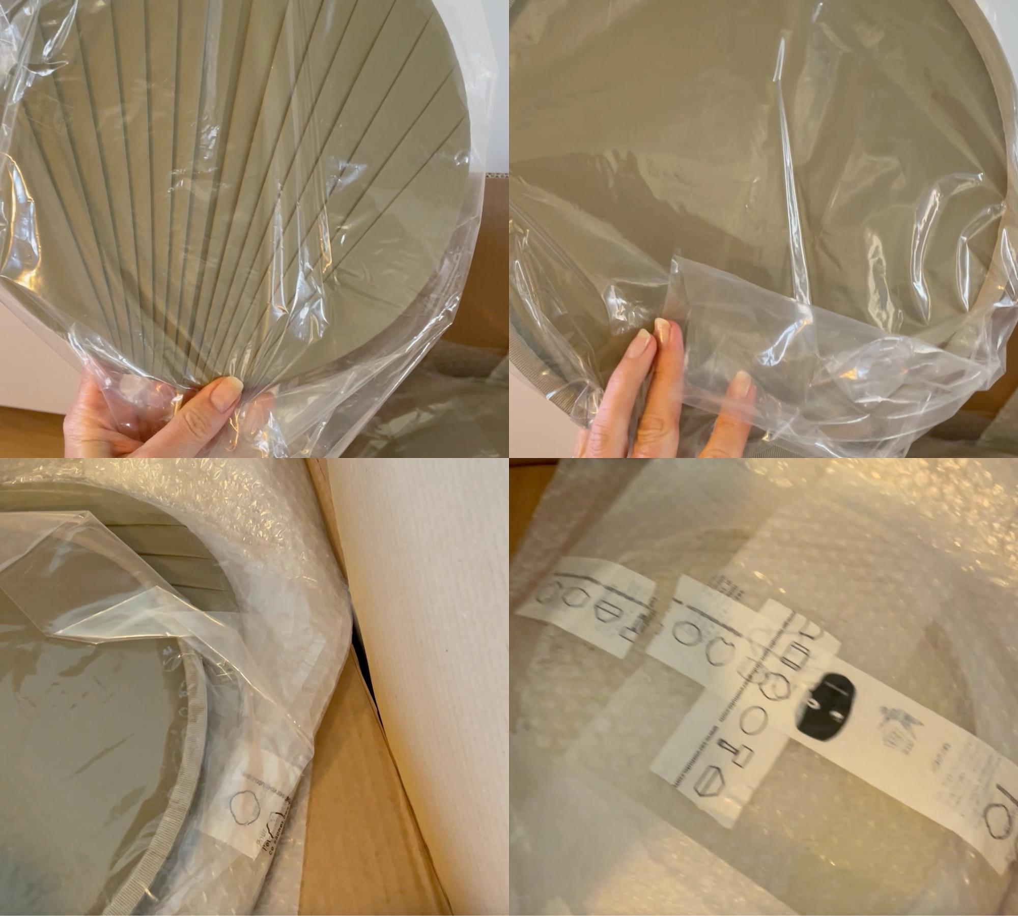 Guinea Wall-Green  5