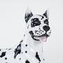 Ceramic Dog Harlequin Figure Black White 1970s 4
