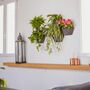 3x Wall planter Gray with textile cover 2