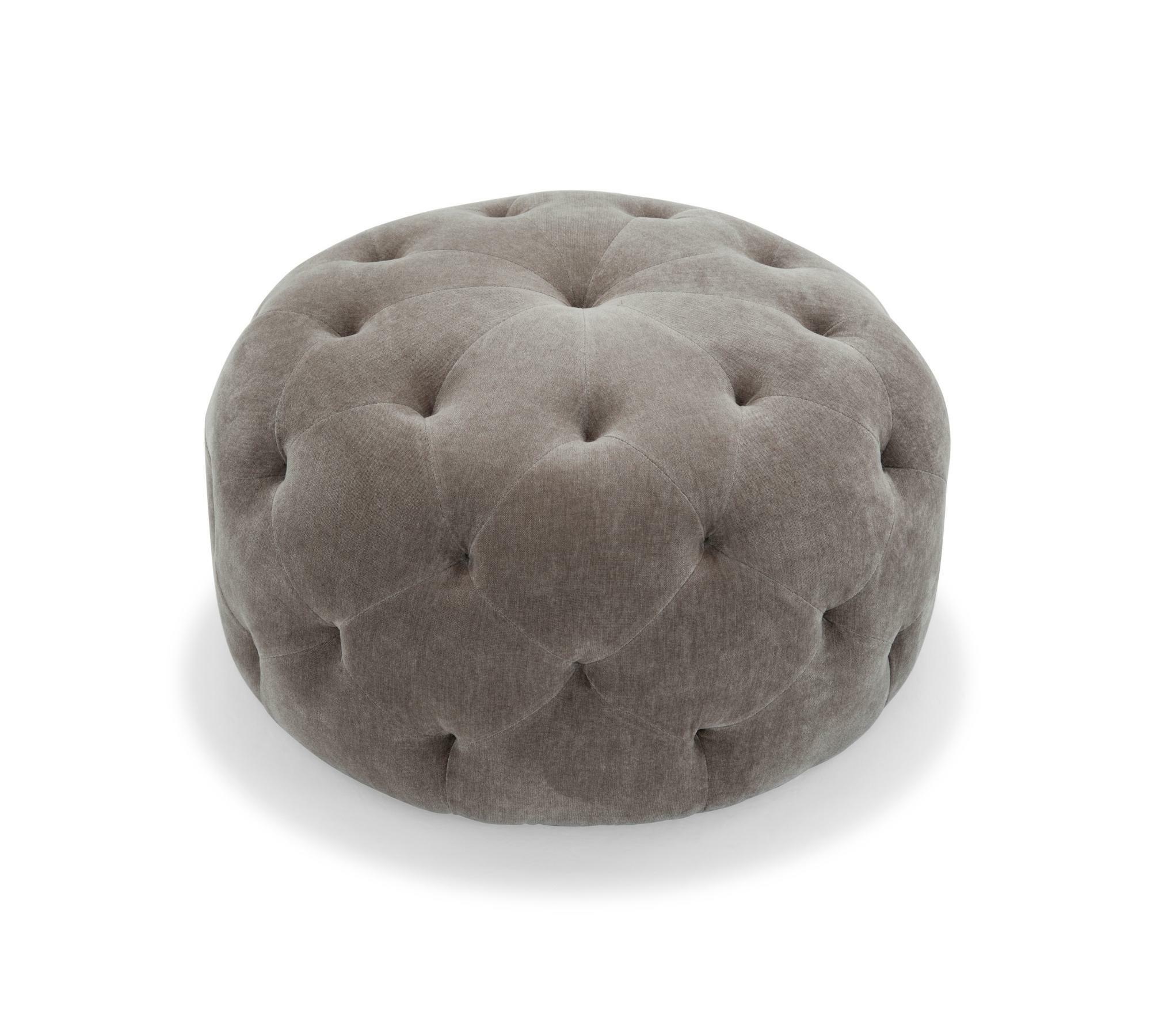 Abby Hocker Moss Shitake 1