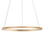 LED pendant light Ritus Type B Plastic Aluminum Brass 1