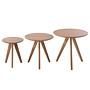 Beistelltisch Past II 3er Set Eiche 3
