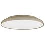 Ceiling Lights Linus 1-Light Aluminum Gold 0