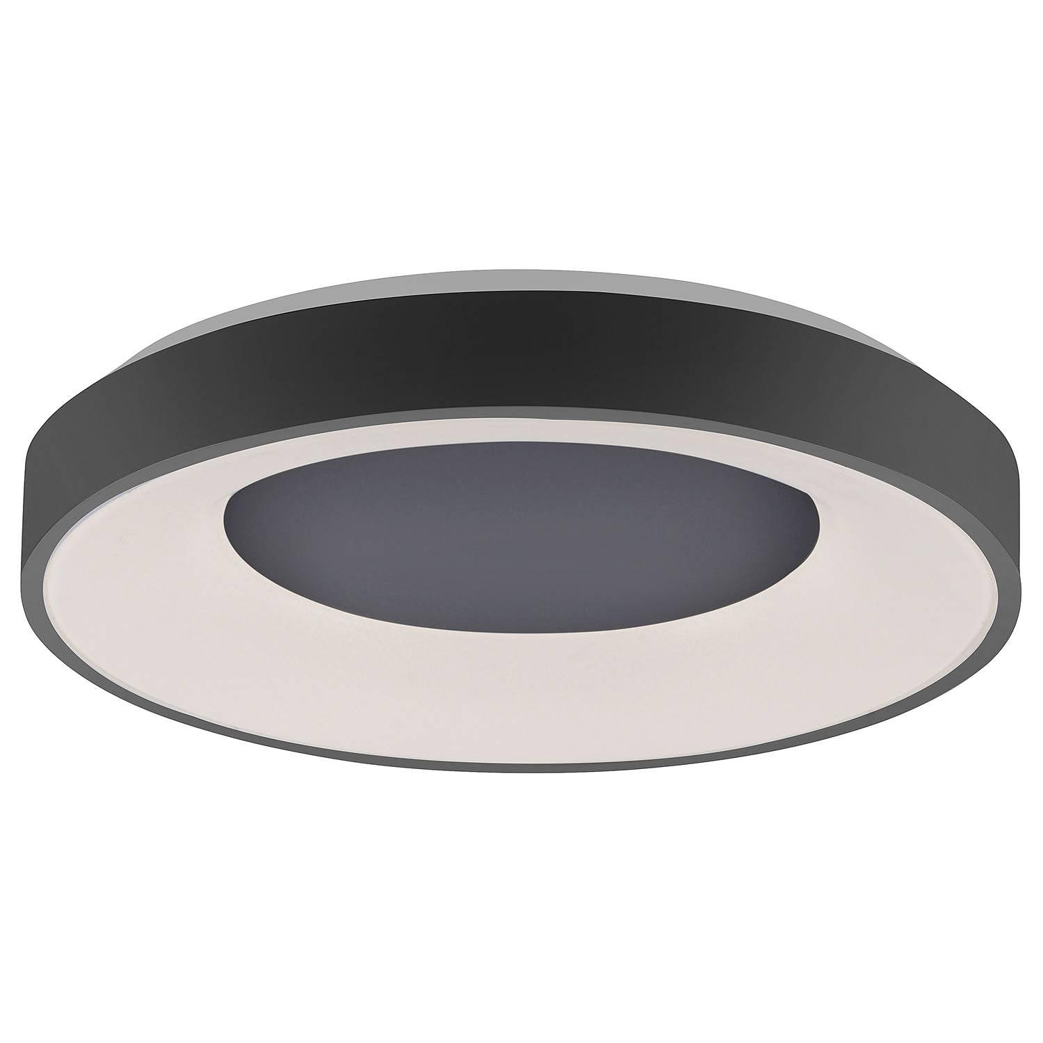 1-Flammig LED-Deckenleuchte Anika Schwarz 0
