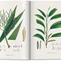 Martius. The Book of Palms 4
