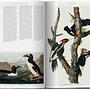 A History of Visual Knowledge from the 15th Century to Today 5
