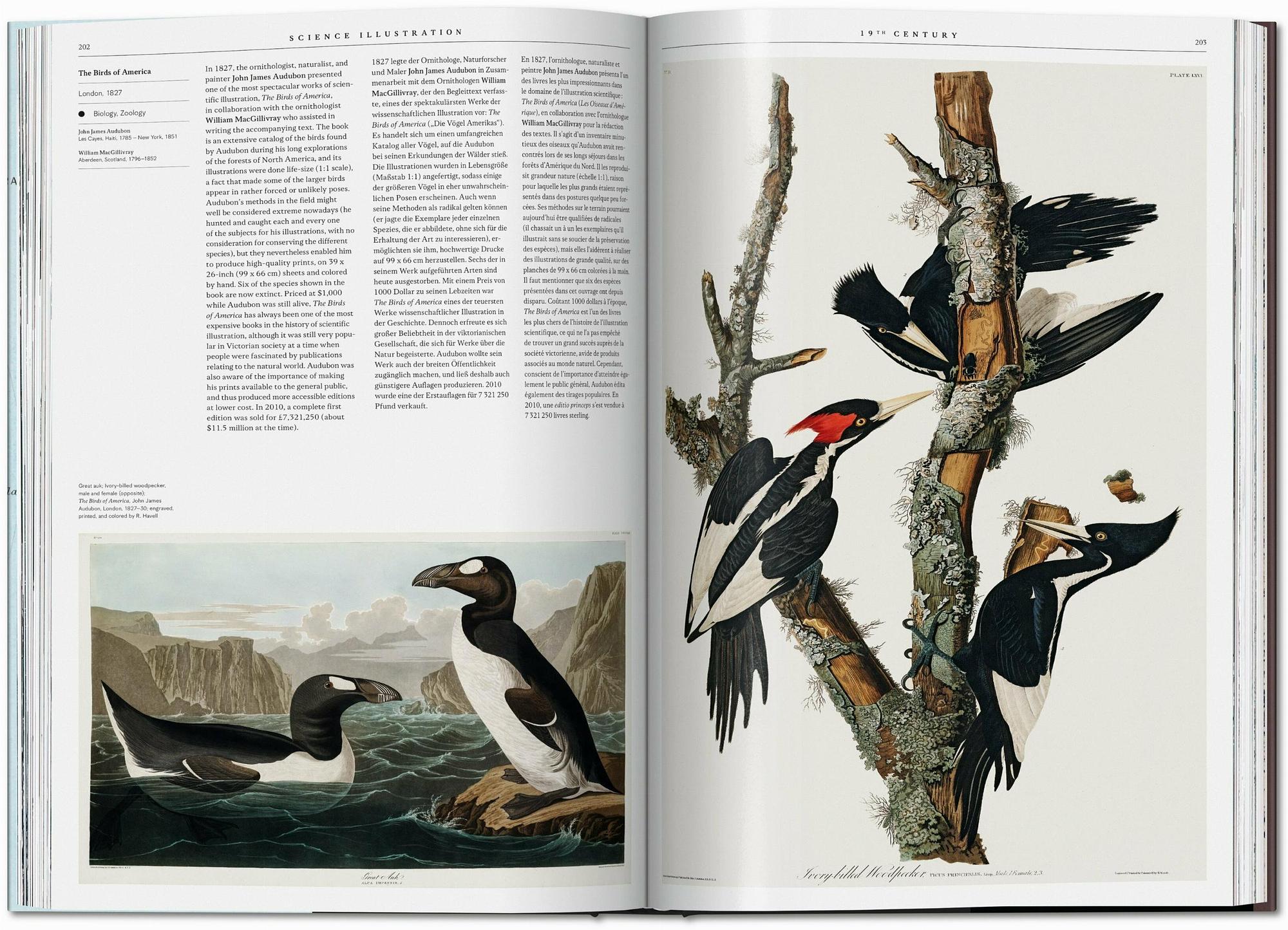 A History of Visual Knowledge from the 15th Century to Today 5