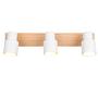 3-Light Pierre Ceiling Light Iron Solid Ash White 3