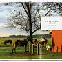 Great Escapes Latin America. The Hotel Book 4