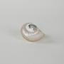 Mother-of-pearl Shell Porcelain 1970s 5
