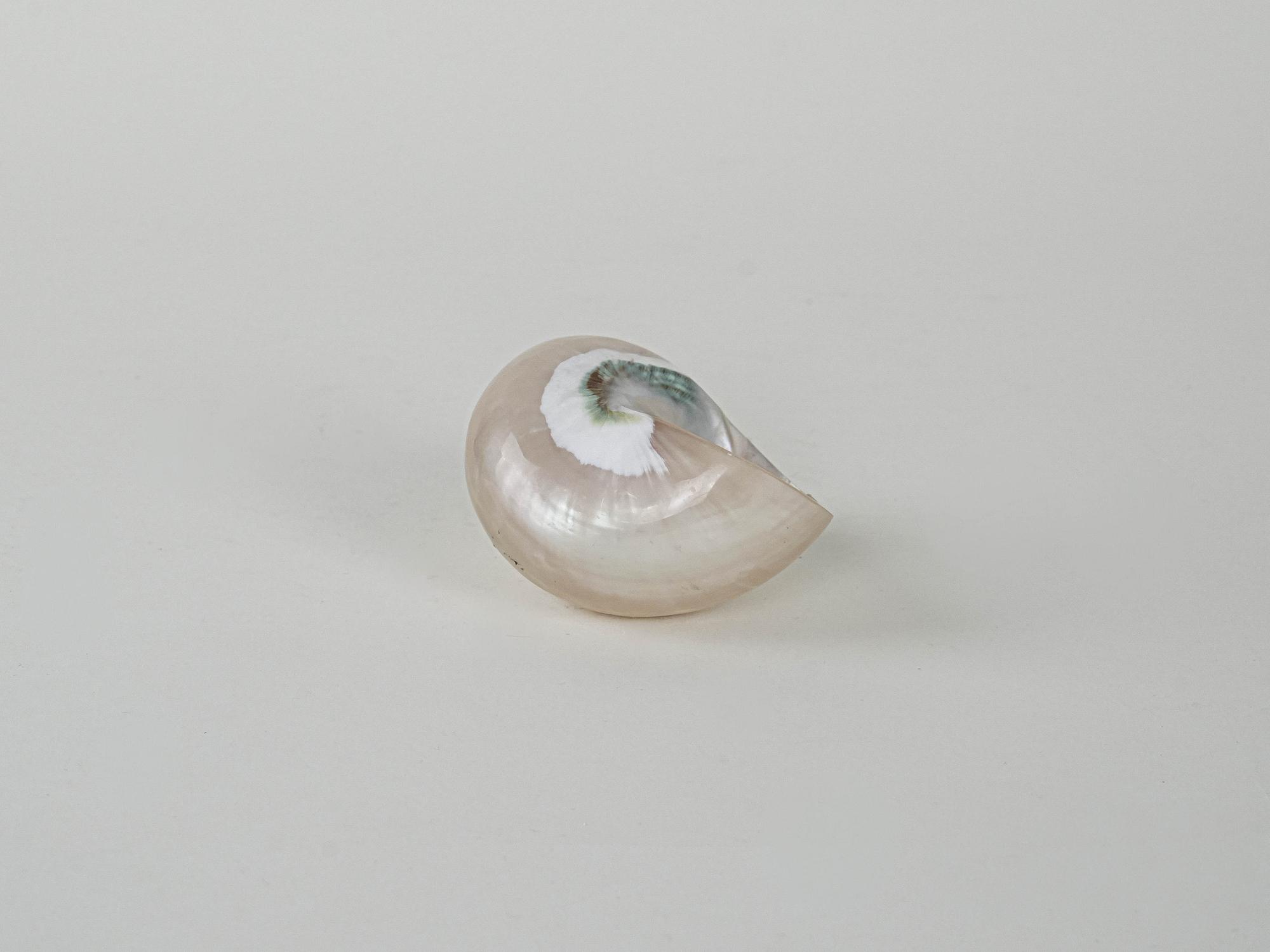Mother-of-pearl Shell Porcelain 1970s 5