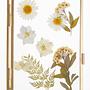 Bilderrahmen TRUE BLOOM Aluminium Gold 11 x 16 cm 3