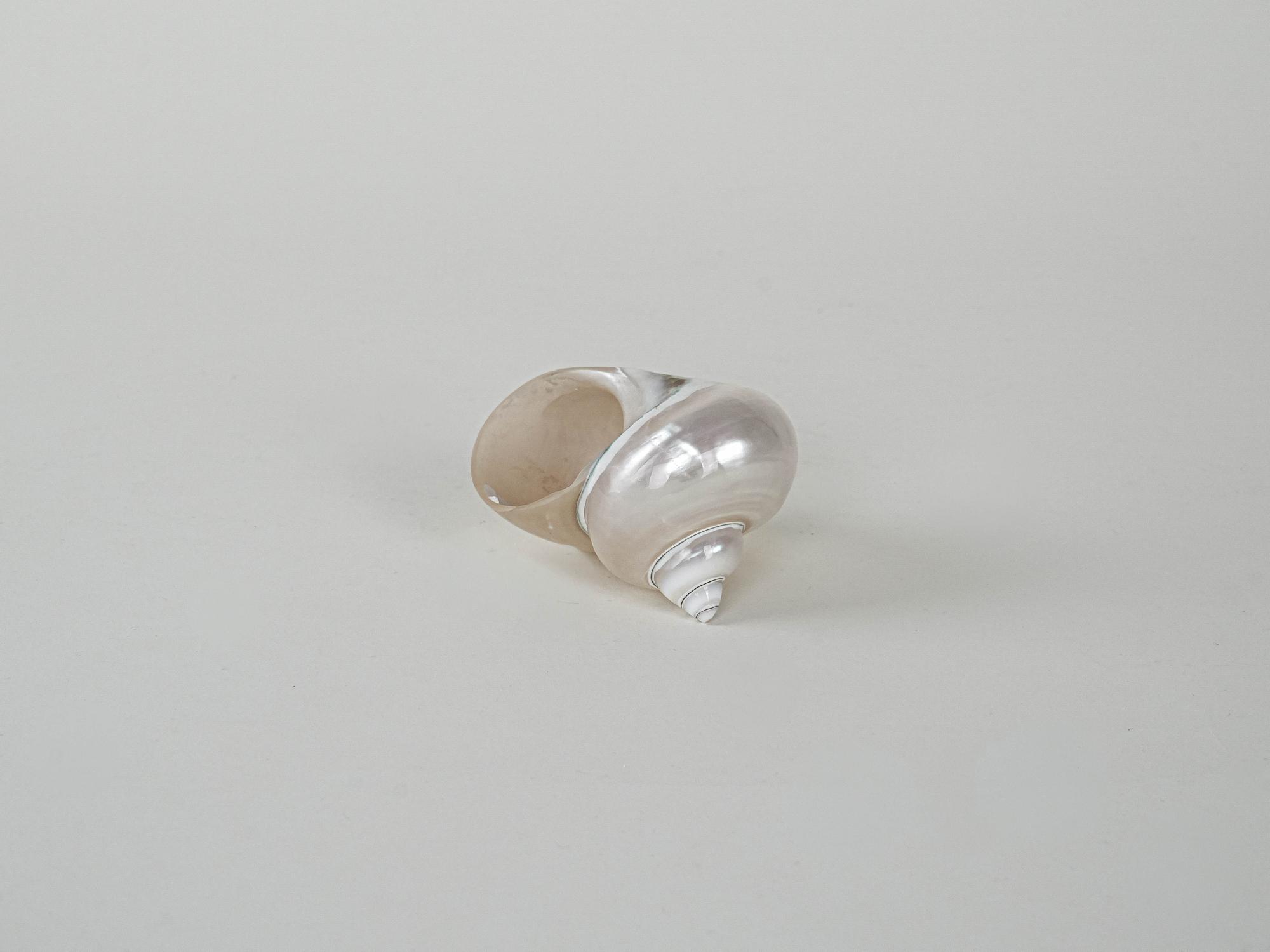 Mother-of-pearl Shell Porcelain 1970s 3