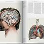 A History of Visual Knowledge from the 15th Century to Today 7