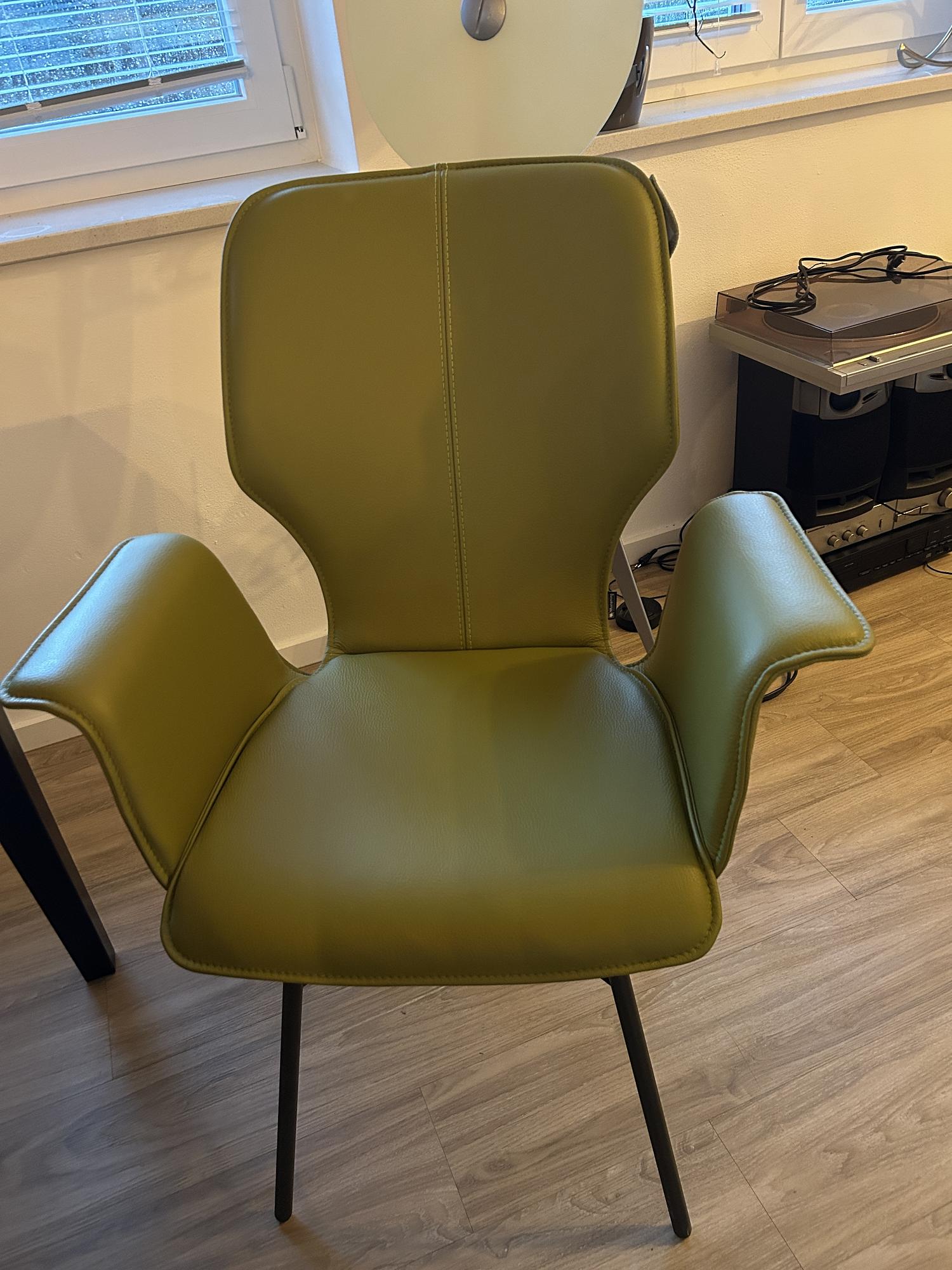 4x Nevio V1462 Armchair Leather 2