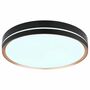 LED ceiling light 1-light acrylic glass metal 3