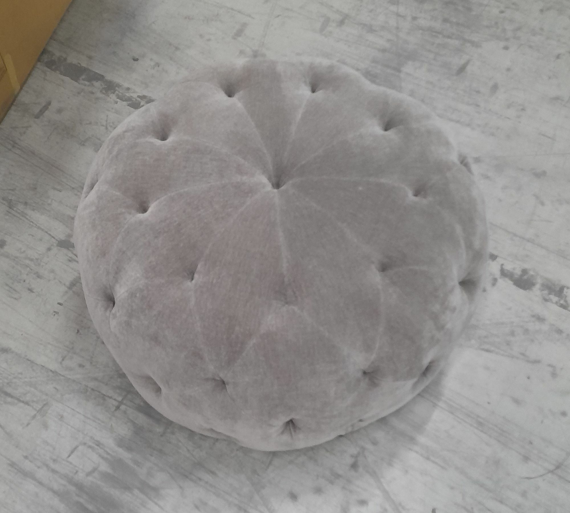 Abby Hocker Moss Shitake 8