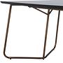 Petra Dining Table Copper in Used-Look Black Veneer 6