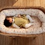 Dancing Swallow Babynest Bio-Baumwolle Beige 6