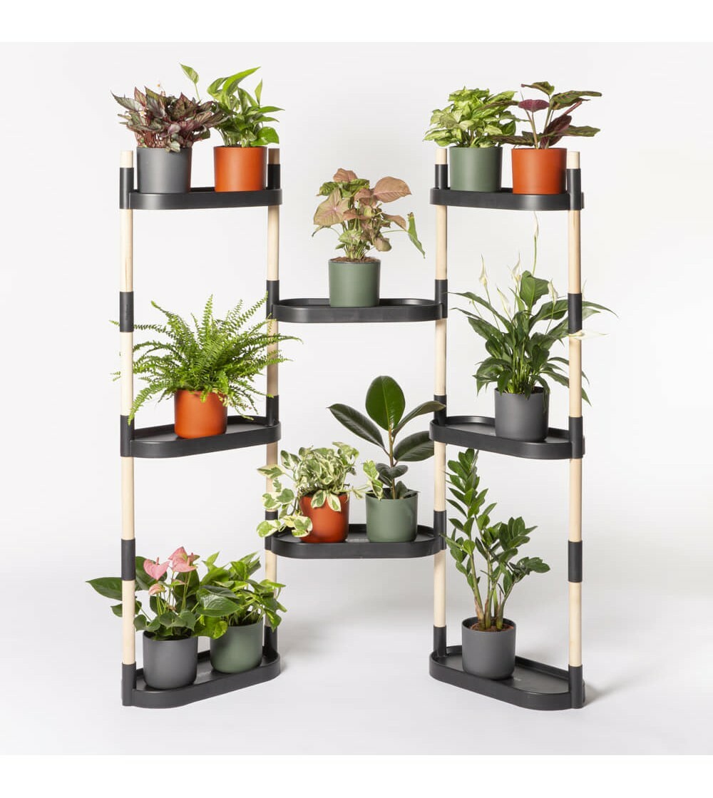 Modulares Pflanzengestell mit 8 Regalböden Grau 1