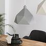 Pendant lamp Armour 1-light Grey 2