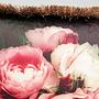 Dekokissen Blush Roses Polyester Mehrfarbig 3