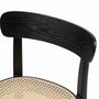 2x Esszimmerstuhl Polywood Rattan Buche Massiv 6