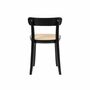 2x Esszimmerstuhl Polywood Rattan Buche Massiv 7